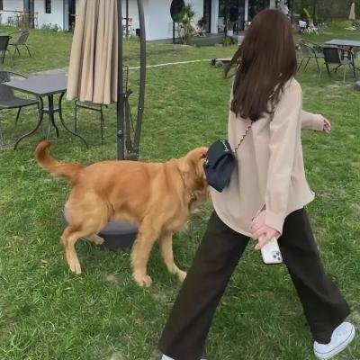 极限战士